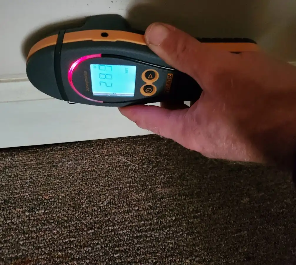 Moisture detection at baseboard during Sewage Cleanup & Sanitation in Garland